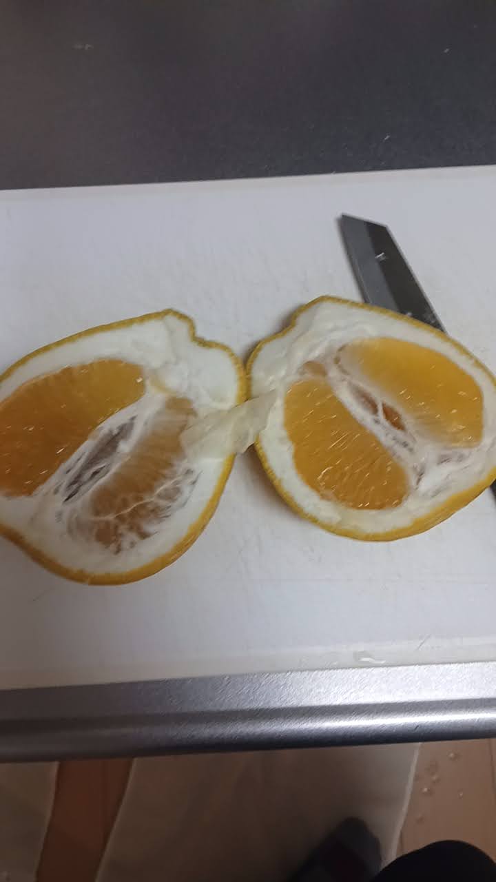 grapefruit