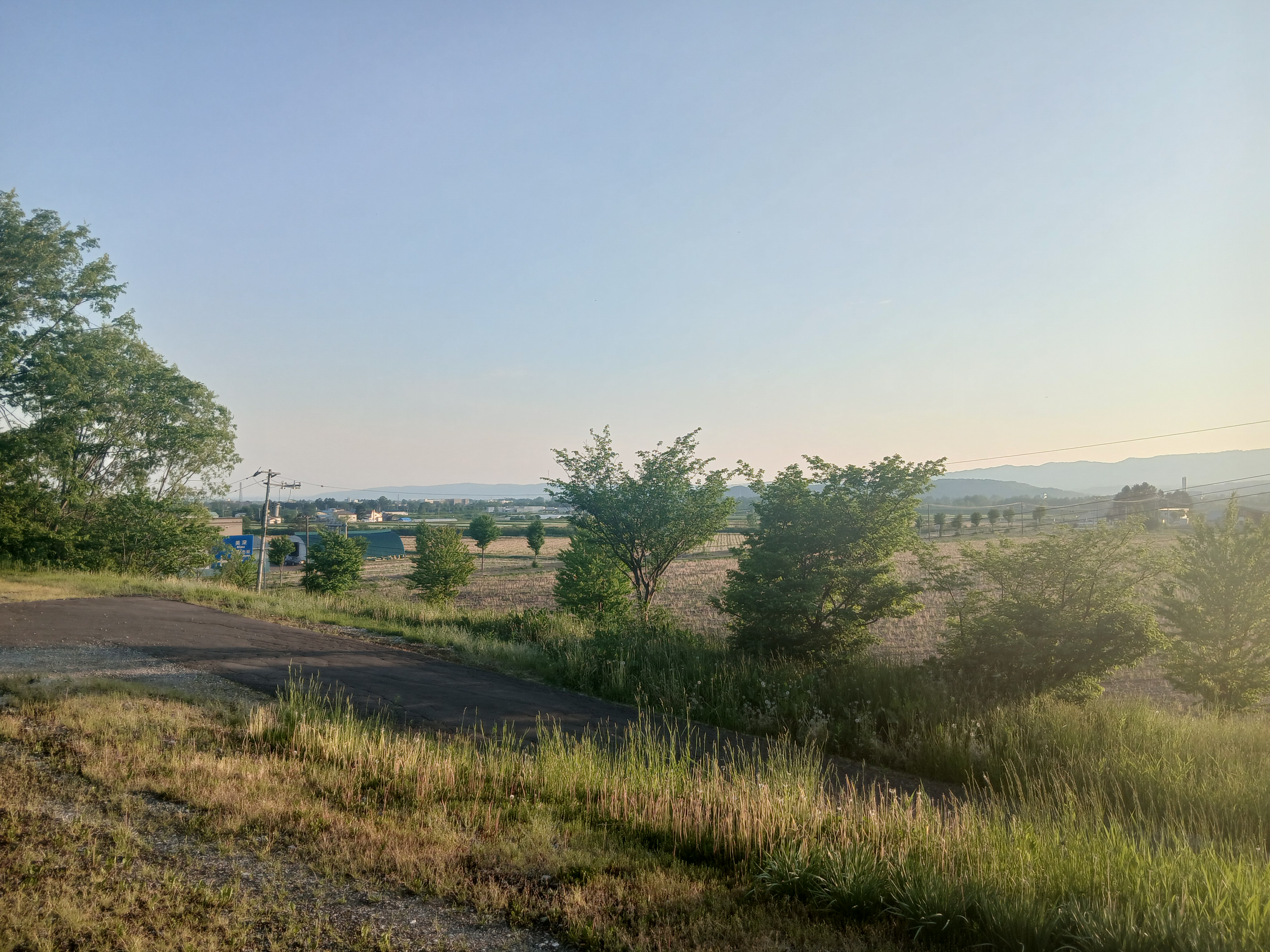 view