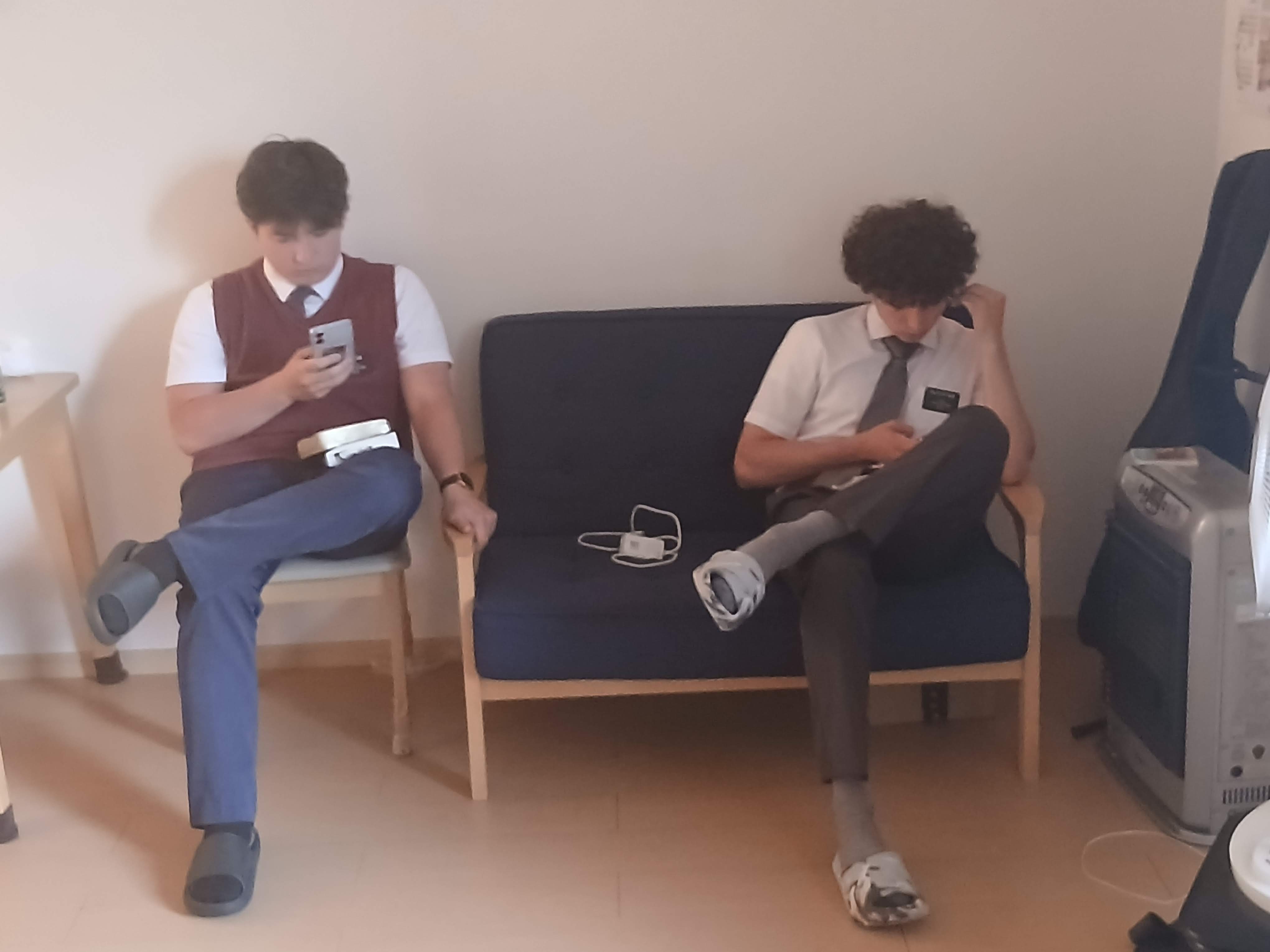 companions