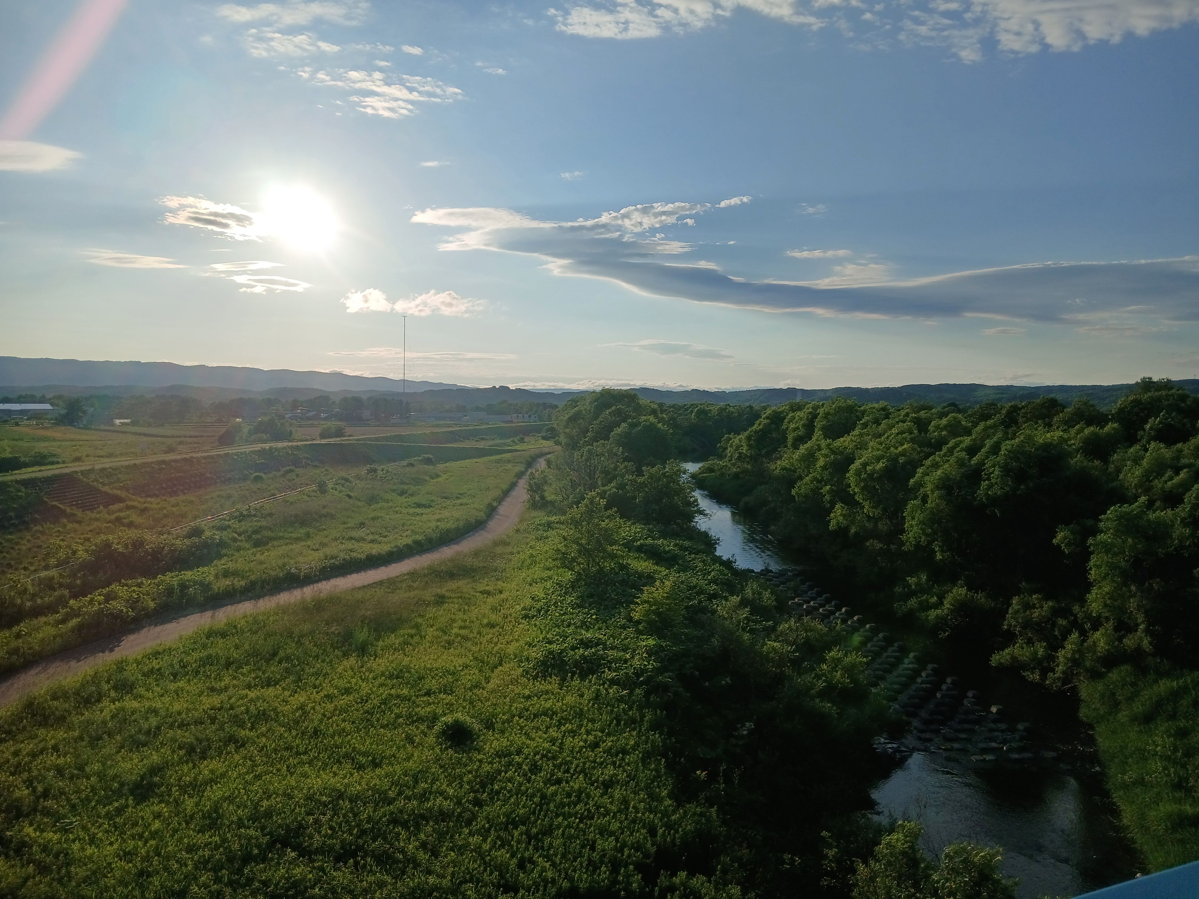 view