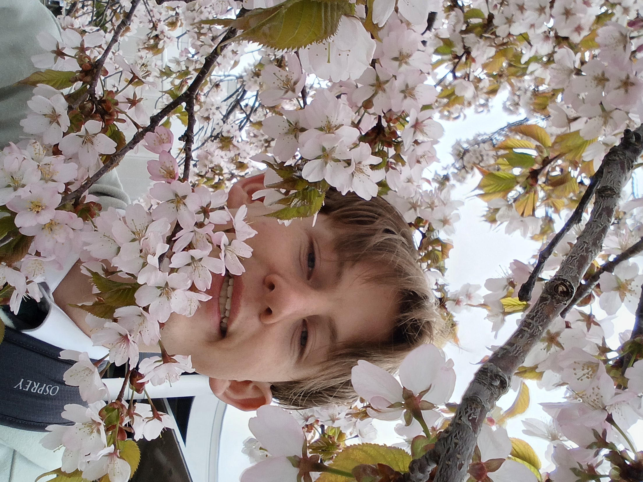 Elder Tripp
