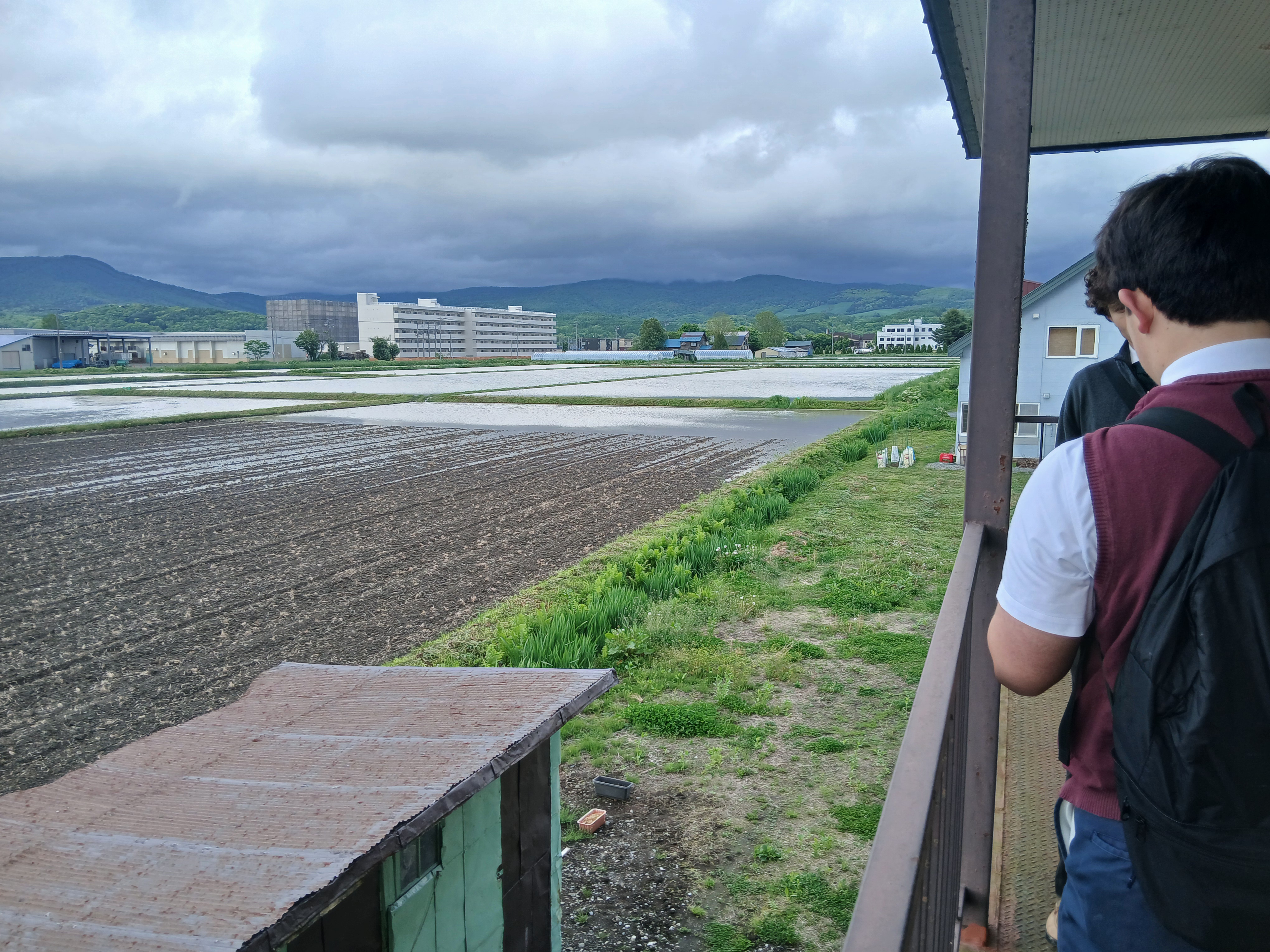 fields