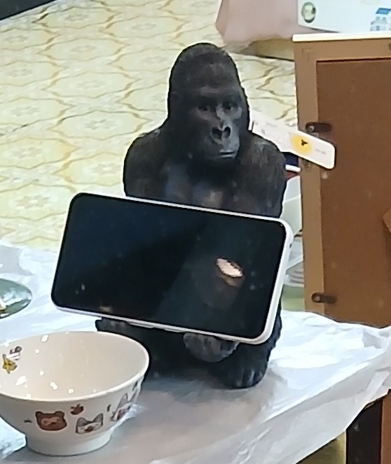 gorilla