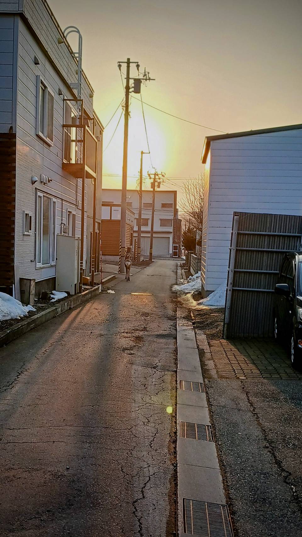 street