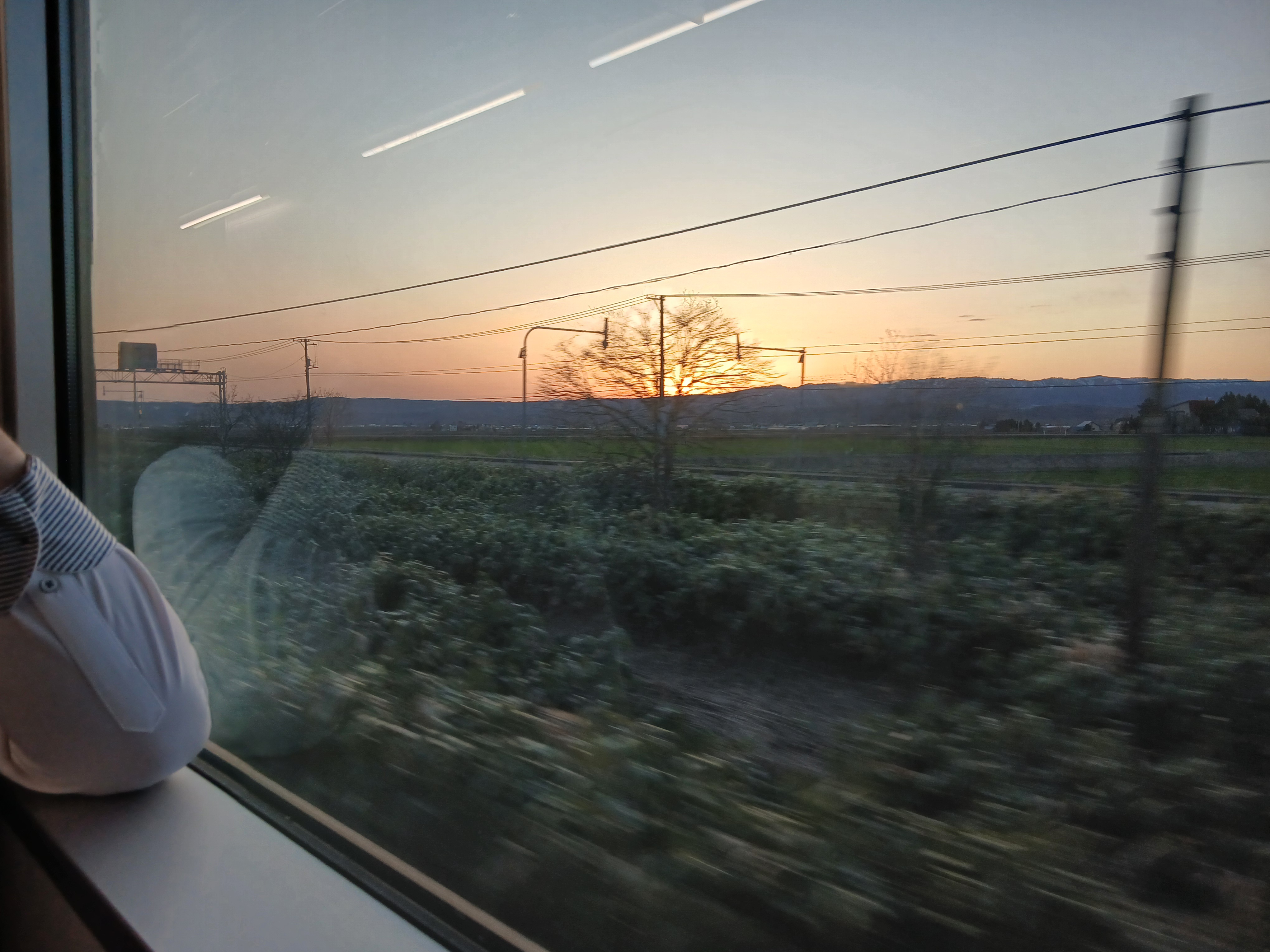 fields