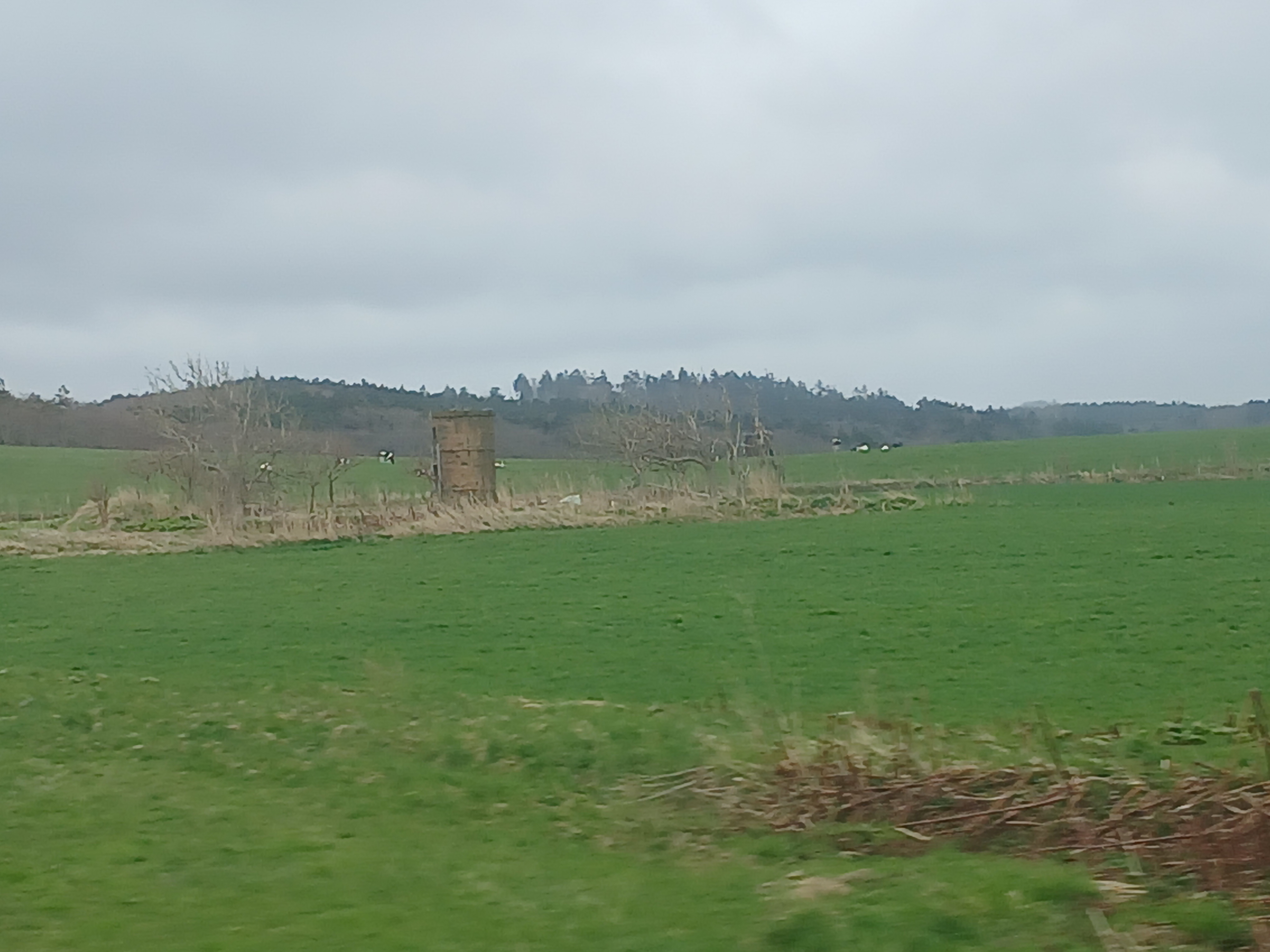 field