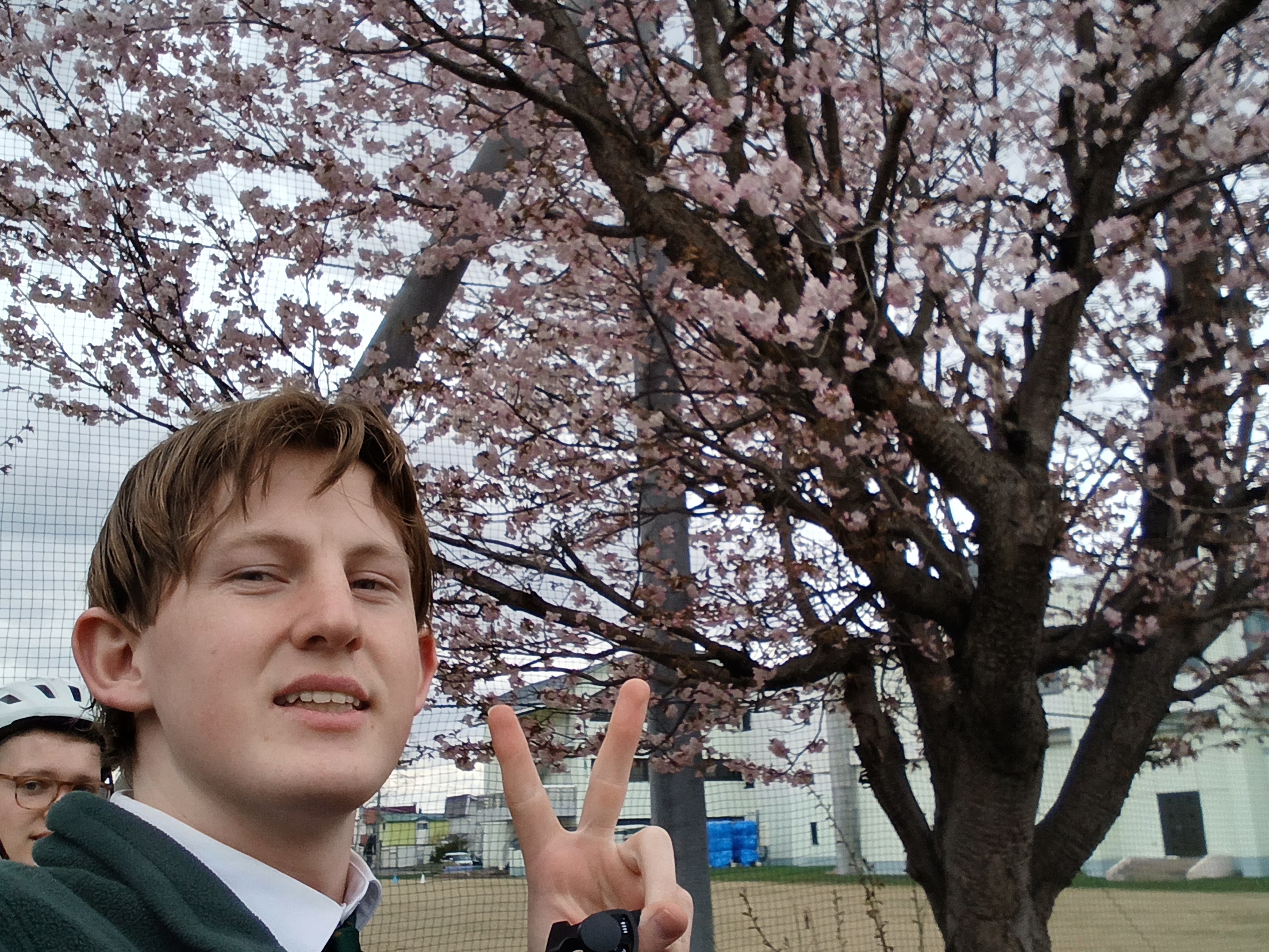 Elder Tripp