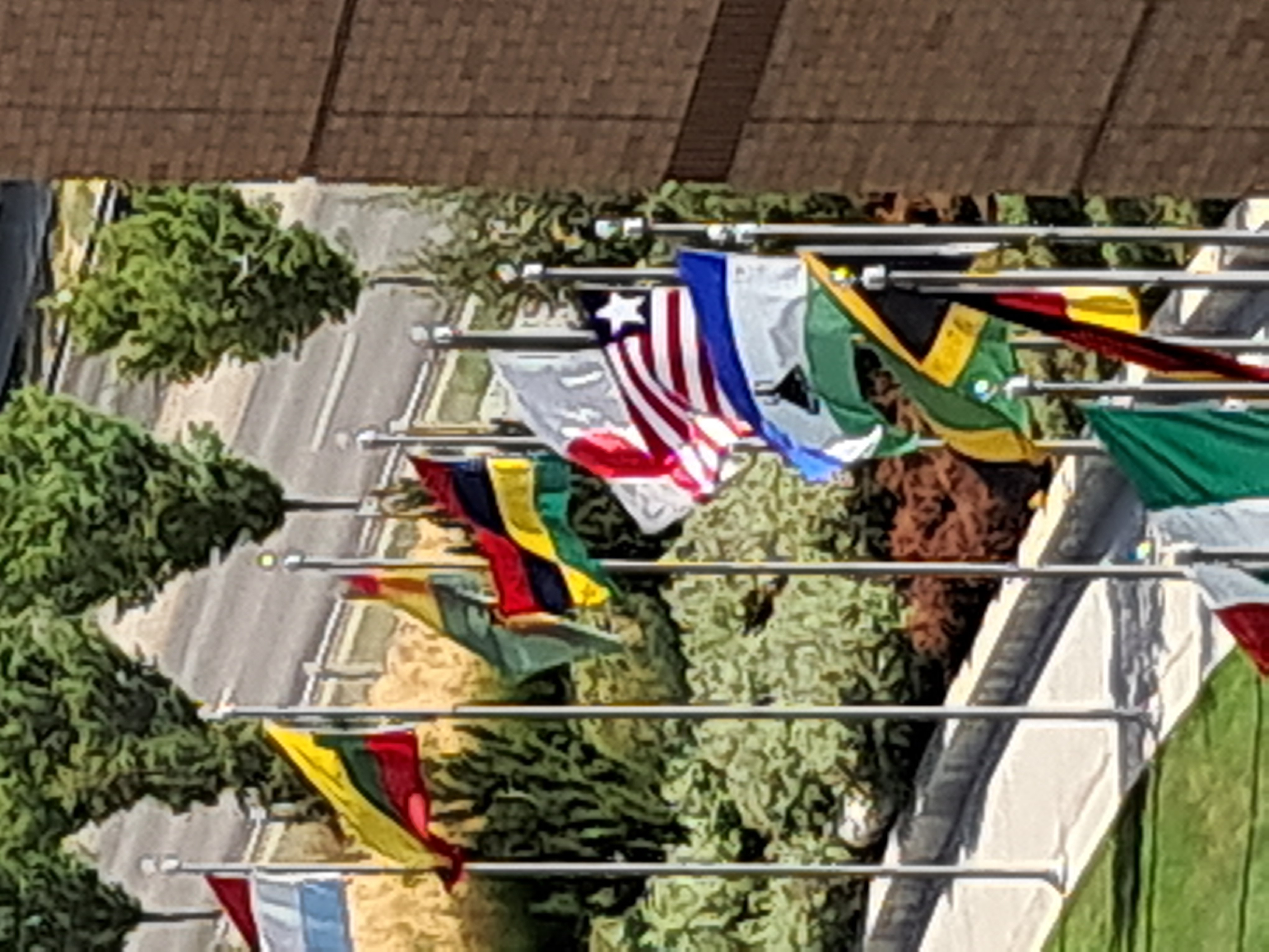 flags
