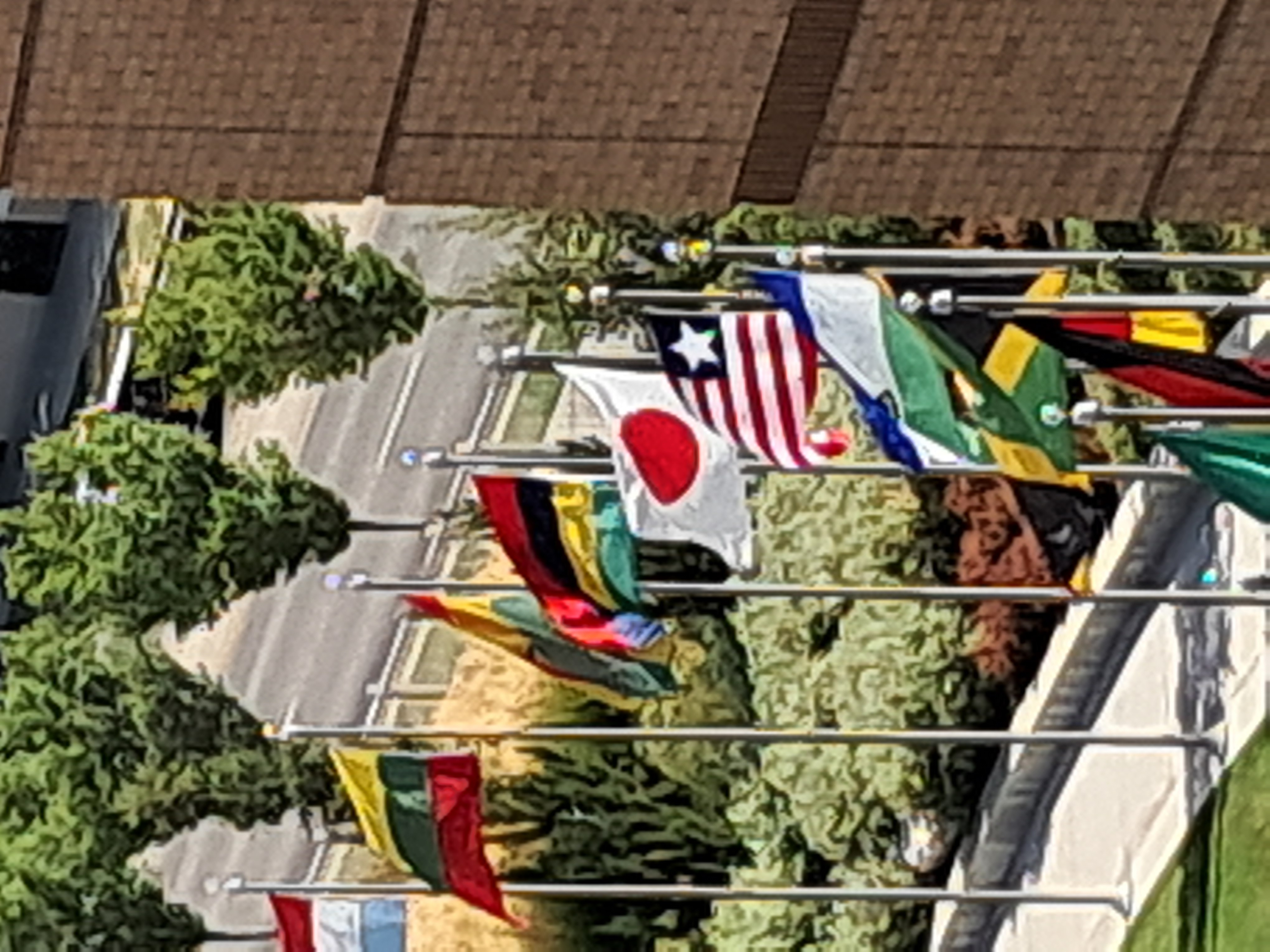 flags