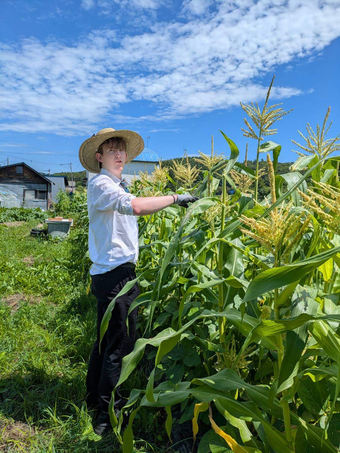 Farmer Tyghe