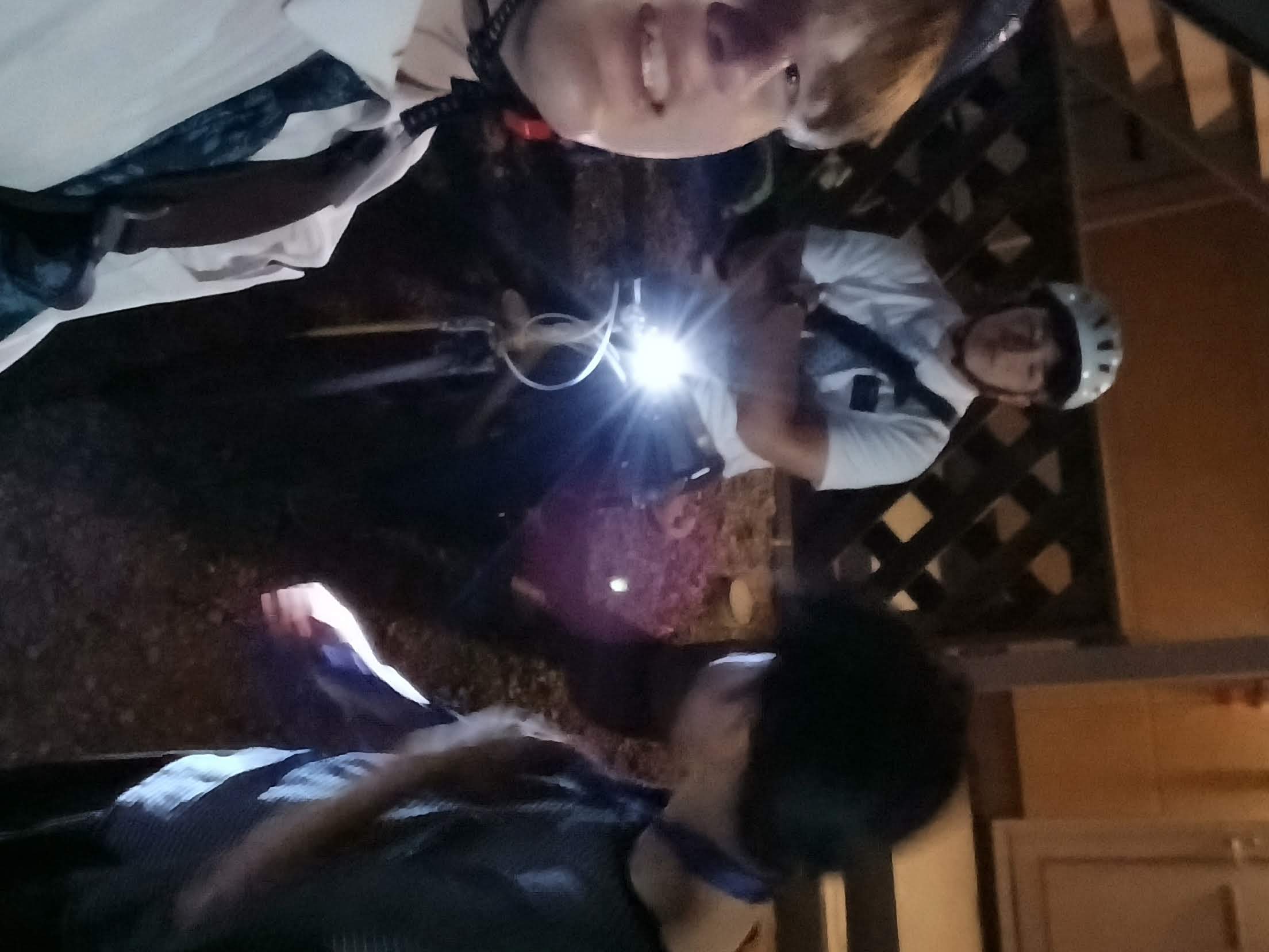 bikes