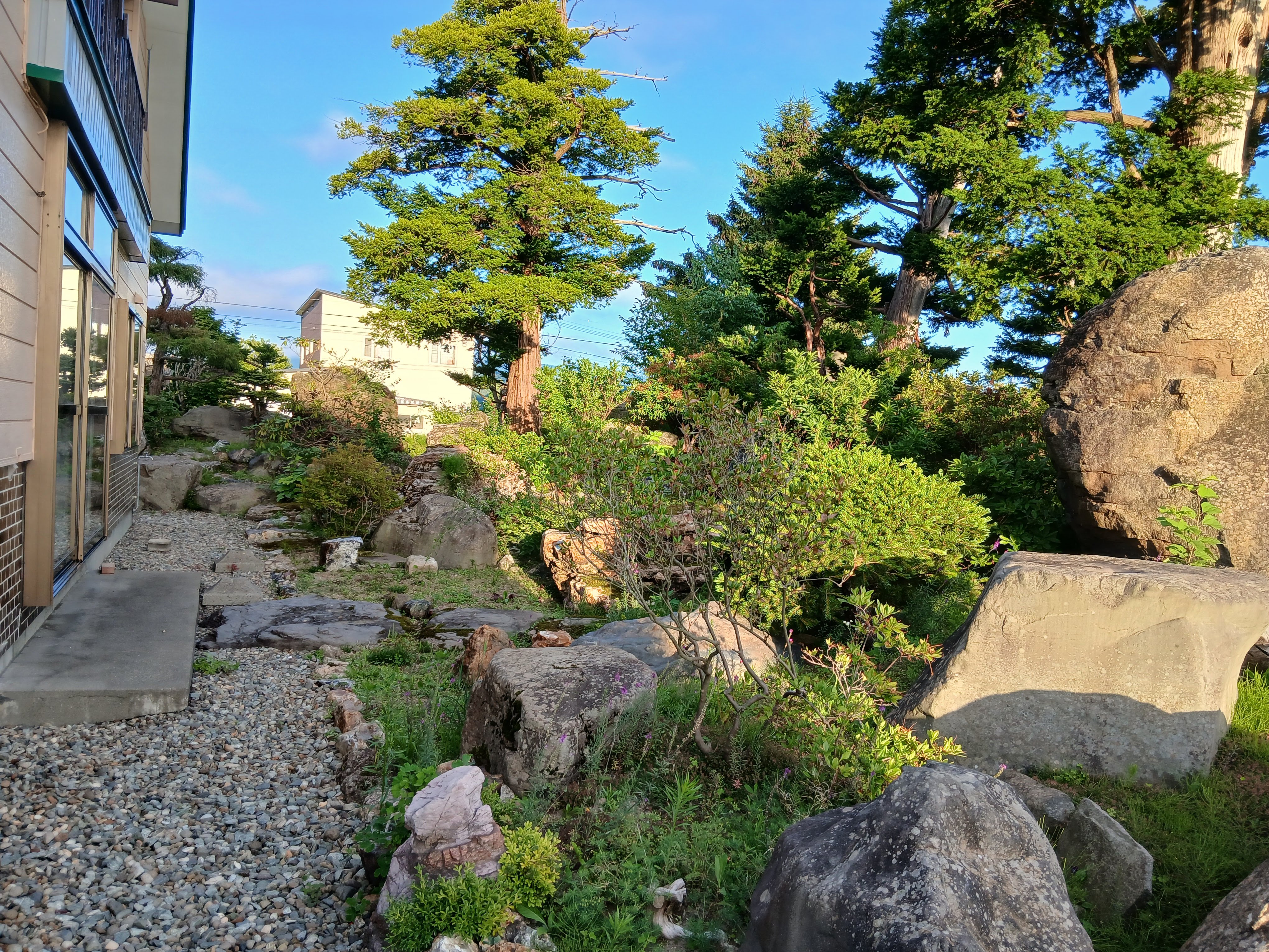 rock garden
