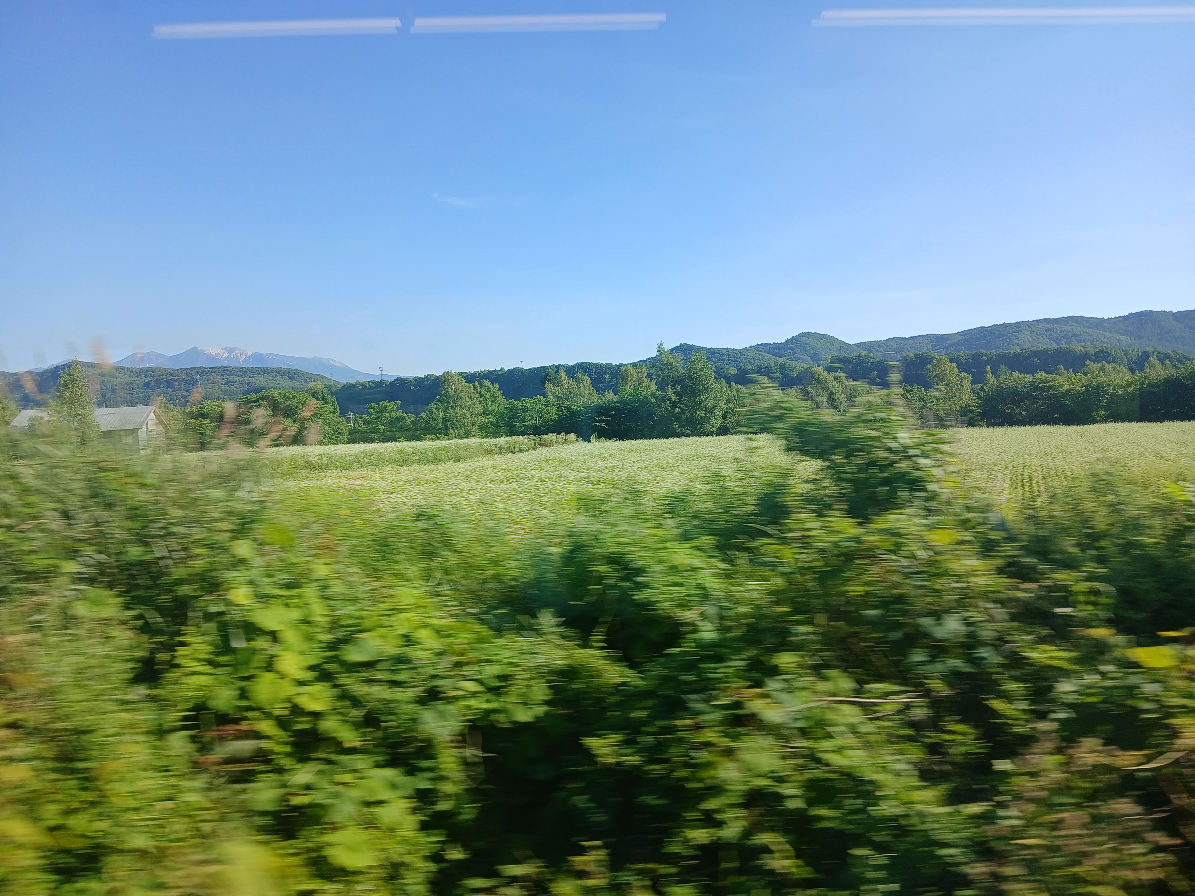 field
